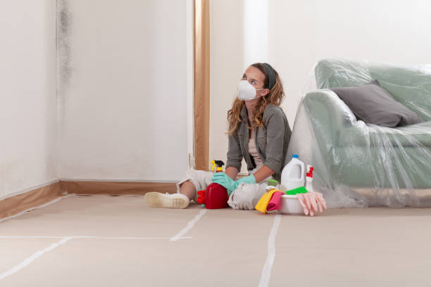 Reliable Mold Testing contractor in Somerdale, NJ by WQB Mold Removal